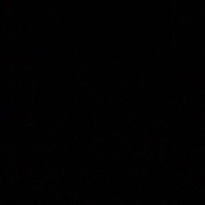 Meet your Posher, Nikita